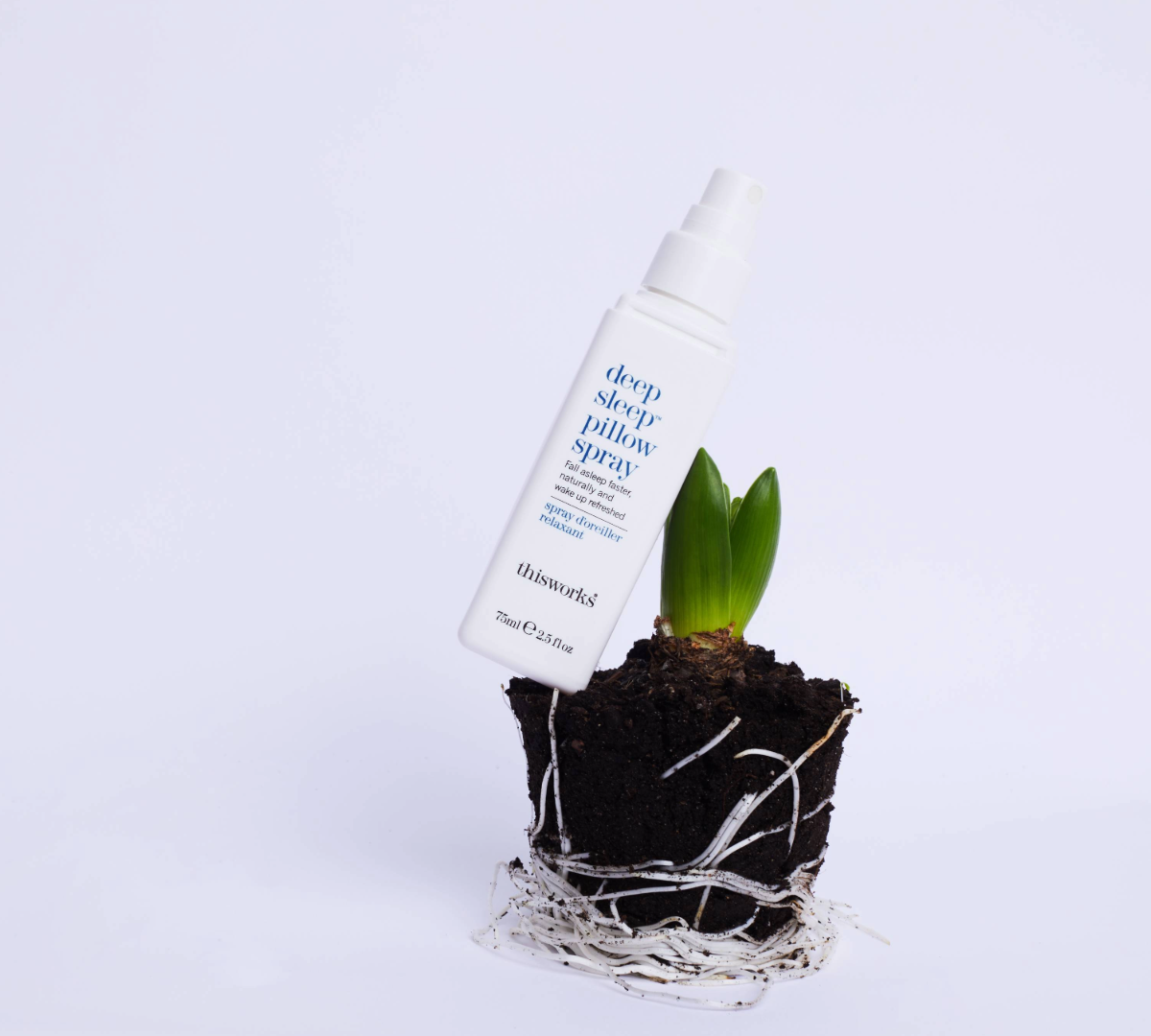 spring up: look up. rest up. link up.