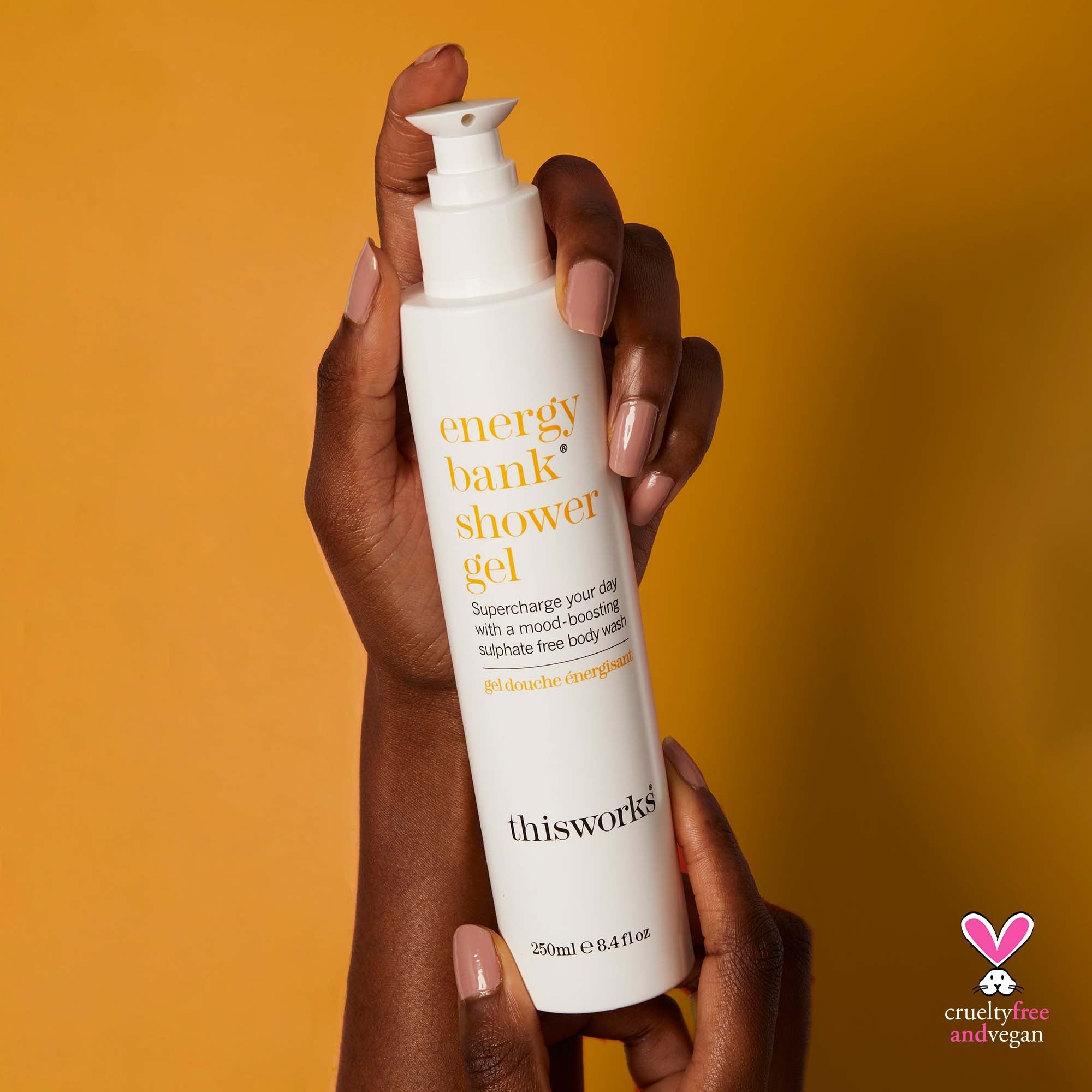 the morning collection