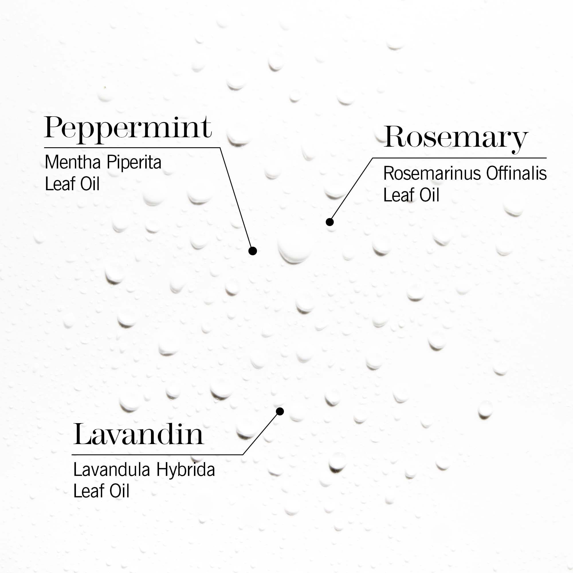 morning expert wake-up spray