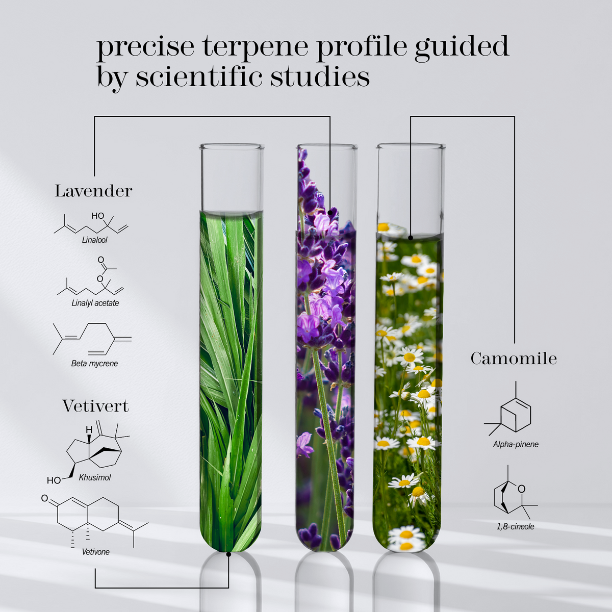 An infographic-style product image showing three tall test tubes filled with botanical liquid, labeled for lavender, vetivert, and camomile, with chemical structures and ingredient names on a light gray background. Titled 'precise terpene profile guided by scientific studies'.