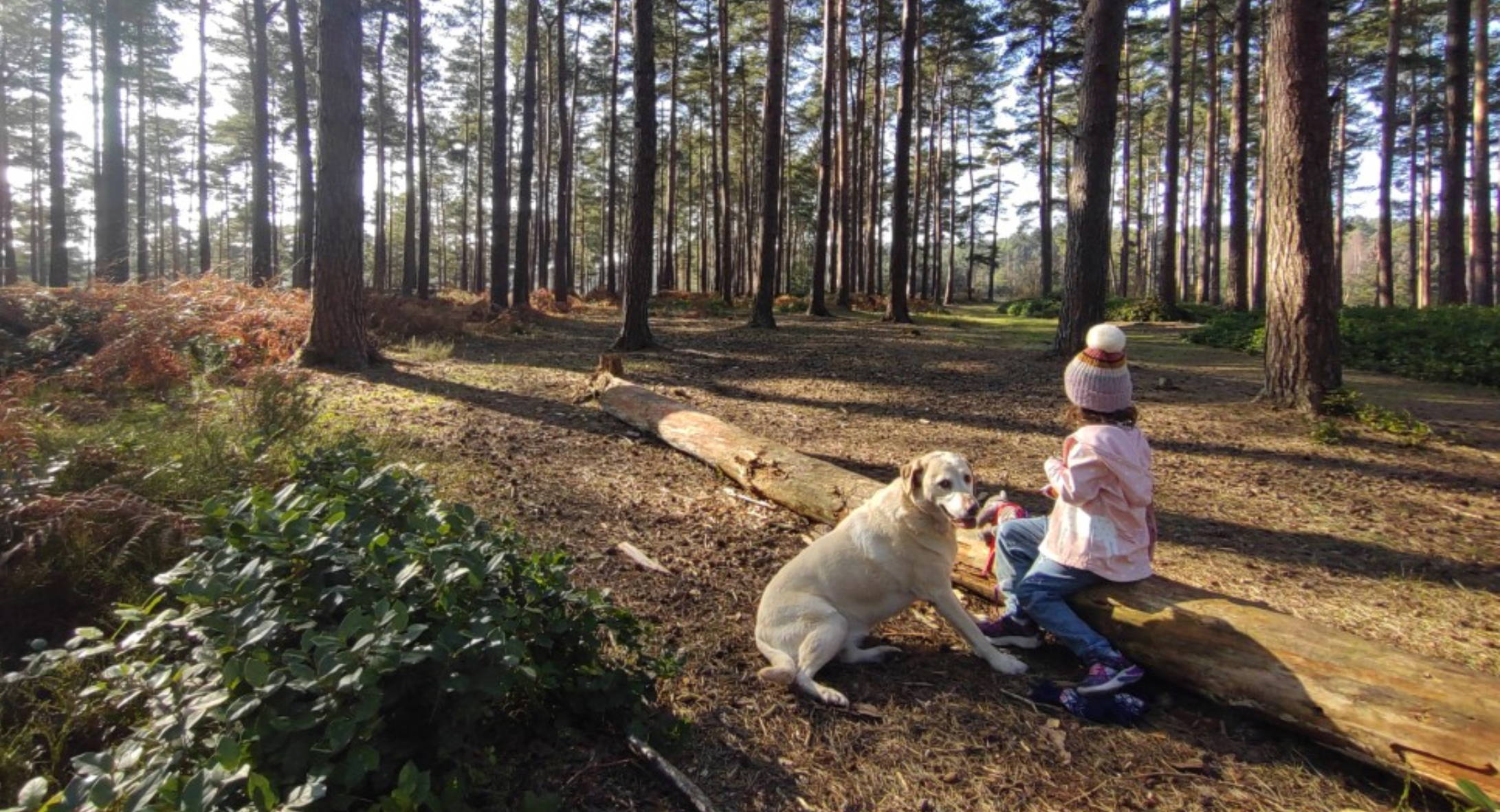 the importance of the outdoors with Grenville Chaganis