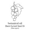 BLACK CURRANT SEED DSBS