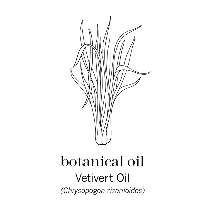 DSPS OIL VETIVERT